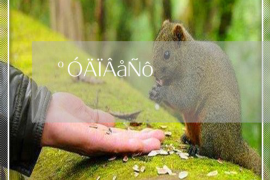 海林企业清欠服务